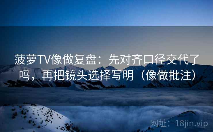 菠萝TV像做复盘：先对齐口径交代了吗，再把镜头选择写明（像做批注）