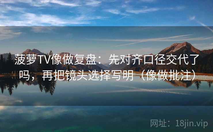 菠萝TV像做复盘：先对齐口径交代了吗，再把镜头选择写明（像做批注）  第2张